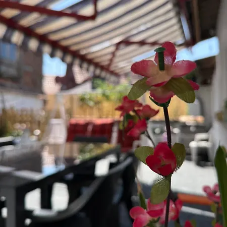 Pensionat Altstadtnest Mit Grossem Garten 3*