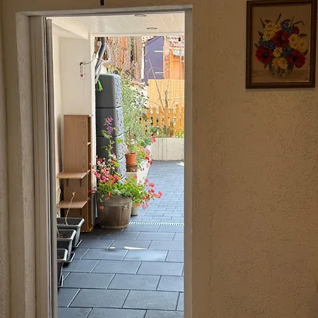 Altstadtnest Mit Grossem Garten Pensionat