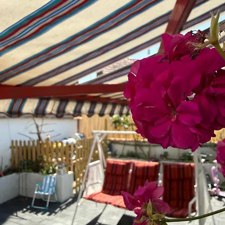 Altstadtnest Mit Grossem Garten